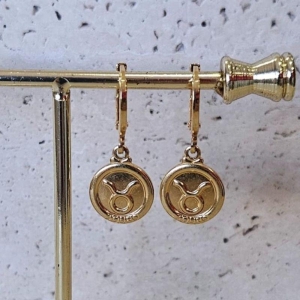 Brinco Argola Touro