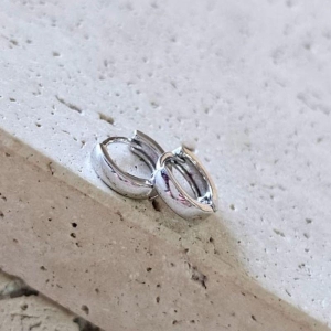 Brinco Argolinha Lisa Grossa Peq