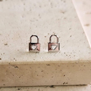 Brinco Cadeado Fixo