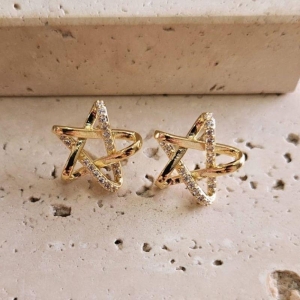 Brinco Estrela Organica Cravejada