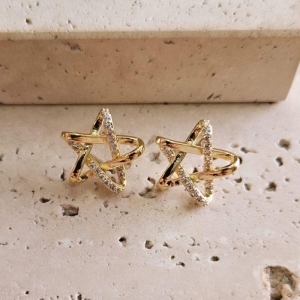 Brinco Estrela Organica Cravejada