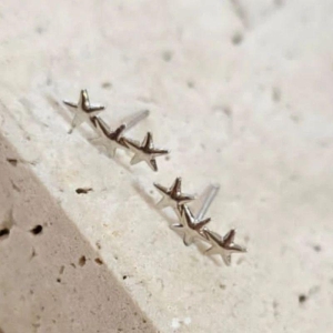 Brinco Mini Ear Cuff Estrelas R