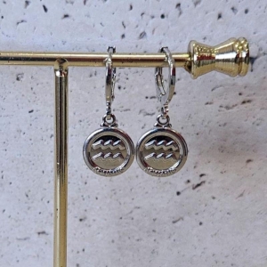 Brinco Argola Aquário