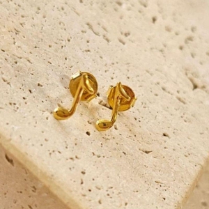 Brinco Notas Musicais