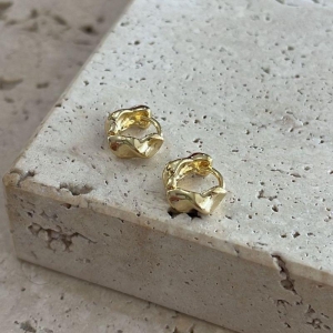 Brinco Argola Torcida Micro