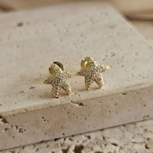 Brinco Estrela do Mar Arredondada Cravejada