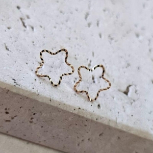 Brinco Estrela Frisada