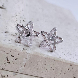 Brinco Estrela Organica Cravejada