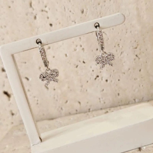 Brinco Argola Lacinho Cravejado