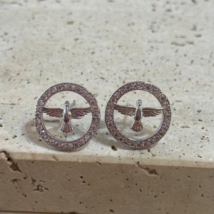 Brinco Espirito Santo Aro Cravejado