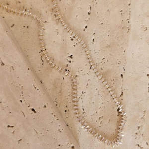 Choker Riviera Navete Cristal 40cm