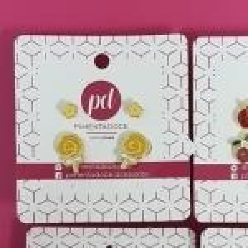 Brinco Duplo Resina Infantil