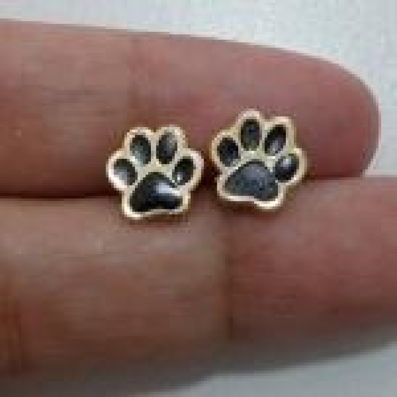 Brinco Pata de Cachorro com Resina 