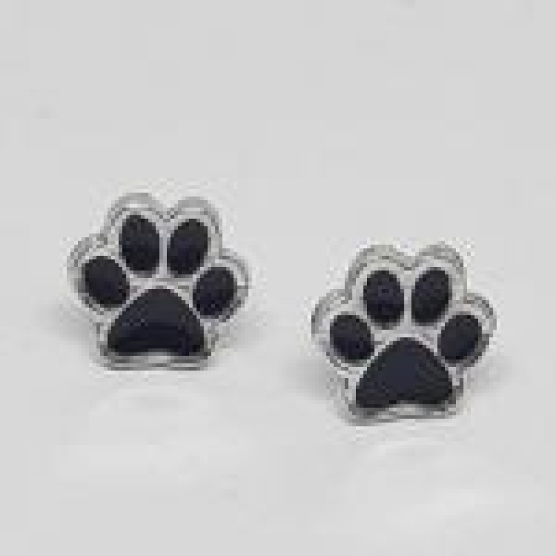 Brinco Pata de Cachorro com Resina  R