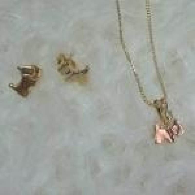 Conjunto Cachorro Mini