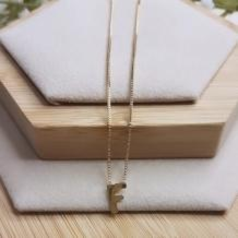 Gargantilha Letra F Mini