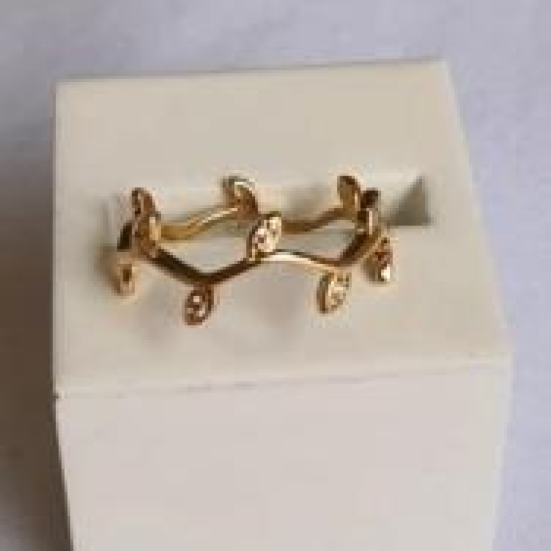 Anel Folhinhas com Zirconia