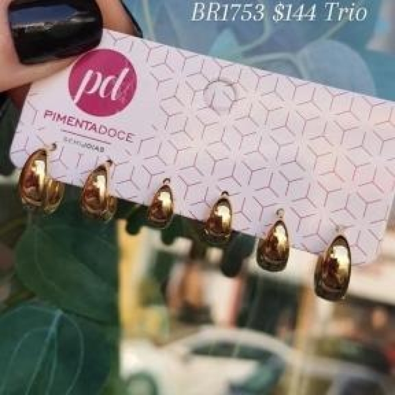 Brinco Trio Argola Gordinha