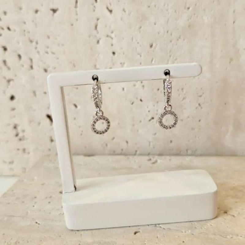 Brinco Argola Circulo Cravejado