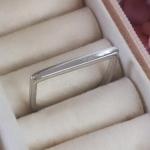 Anel Arredondado Reto Grosso R