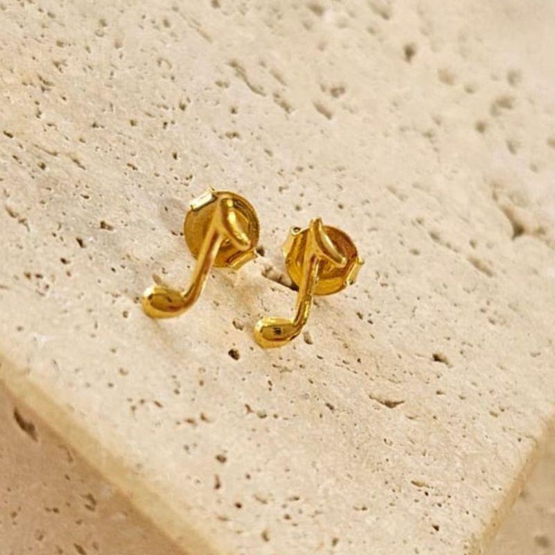 Brinco Notas Musicais