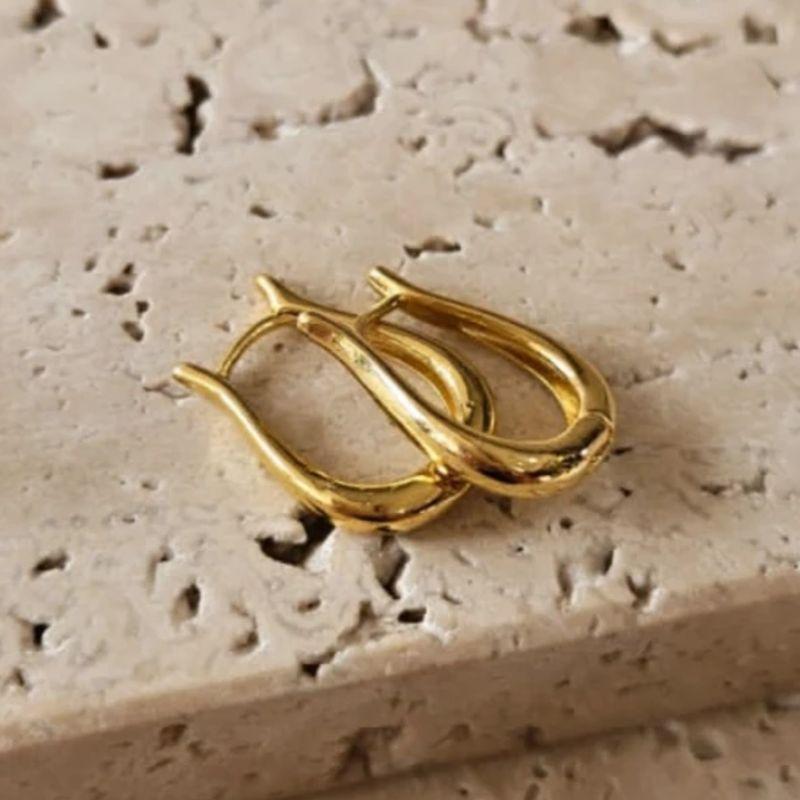 Brinco Argola Harpa M