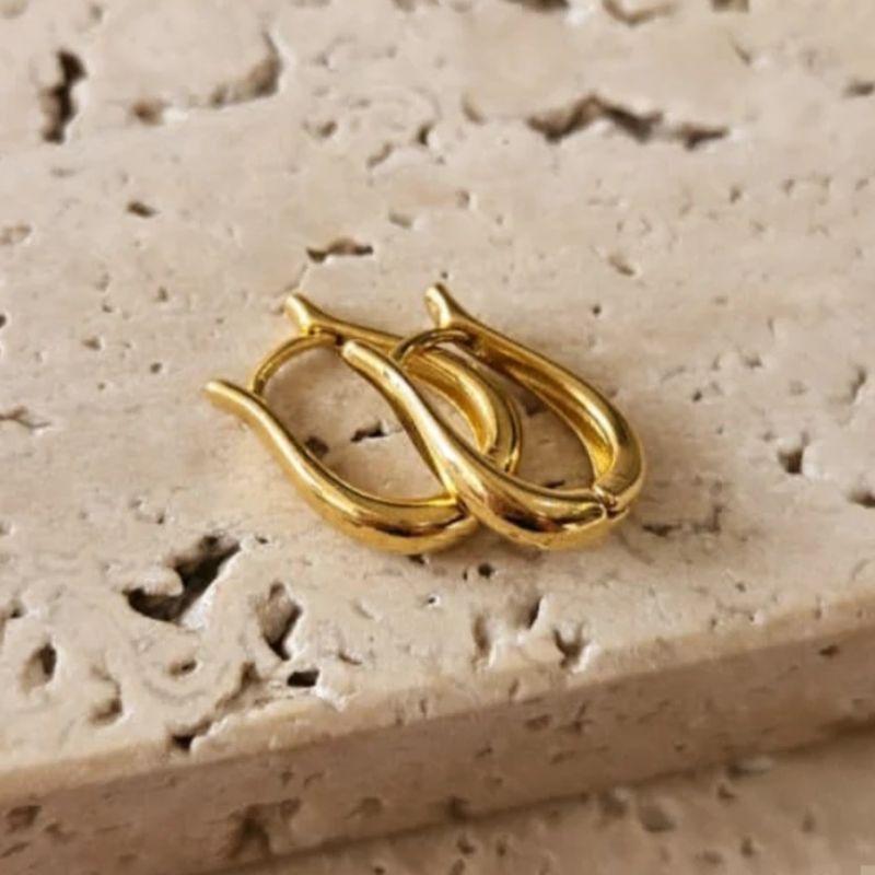 Brinco Argola Harpa P